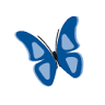 Air Connection Ltd.
