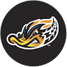 Akron RubberDucks