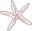 AK Starfish Co