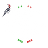 Al Picchio Rosso
