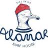 Alamar Surf School