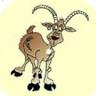Sede Al Borde