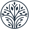 Alchemy Dental Practice