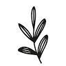 Aldea Nativa