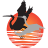 Aldinga Tours
