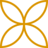 Alergomais