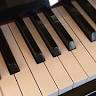 Alessandria Di Nardo | Piano Studio
