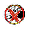 Alex Surf School