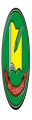 Pondok Pesantren Alfattah Kikil II