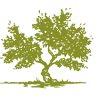 Alfawara