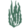 Alga artean