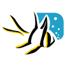 Algone Corporation