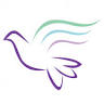 Alice House Hospice Shop