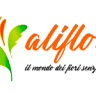 Aliflora
