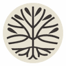 Aligned Modern Health