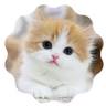 Alinn Petshop