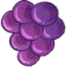 All About Wine