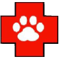 All Animals Veterinary Hospital