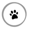 All Creatures Veterinary Services