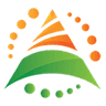 Allegiant Service Group