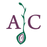 Allen Creek Preschool