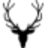 Allensolly