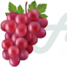 Allen's Wine & Spirits