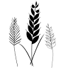 Alliance Bio