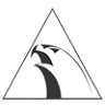 Alliance Jiu Jitsu San Diego