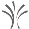 Allio Group