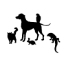 All Pets Veterinary Center