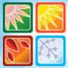All Seasons Allergy & Asthma | Crestview