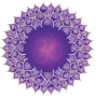ALLYOGA