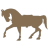 Cabalgatas y Equinoterapia Alma Equina Pucon