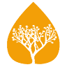 Luis Cremades Belmonte e Hijos S.L. (Almendras Cremades)