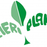 Almeriplant Semilleros y Viveros