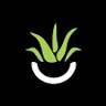 Aloe Beauty By DMB