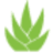 Aloe Store - L'Angolo dell'Aloe