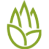 Aloe Thai Masszázs