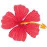 Aloha Pools and Spas