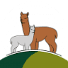 Alpakazucht Siebenhirten