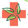 Apotheke Hinterglemm