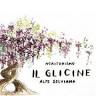 “Il Glicine