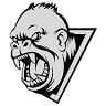 Alpha Fitness Club