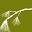 Alpine Physical Therapy