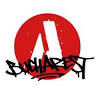 Alternative Bucharest Tour