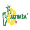 Althaea vof