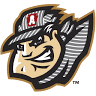 Altoona Curve Baseball