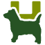 All Dogs and Cats