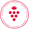 Al Vino Vino